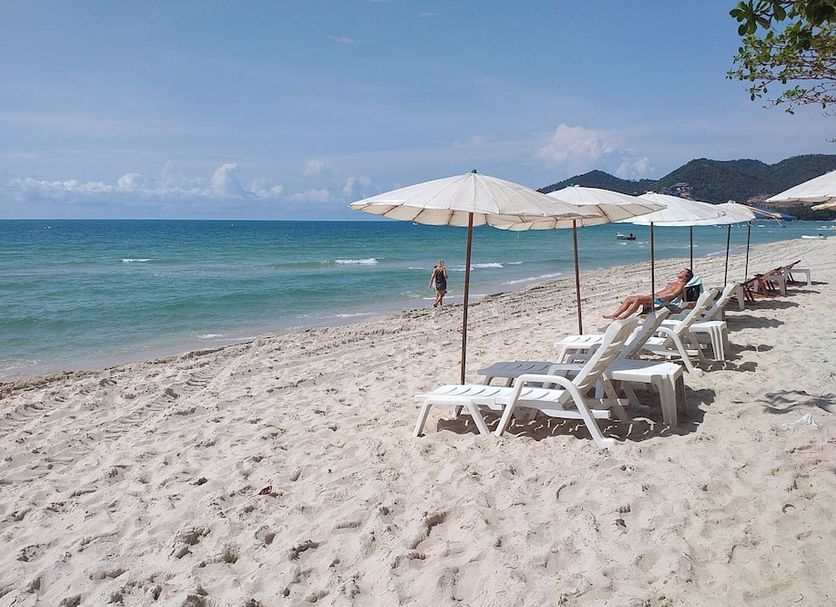 해변 사진