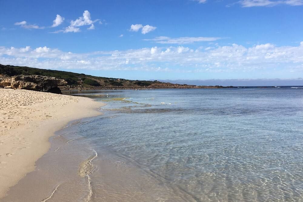 해변 사진