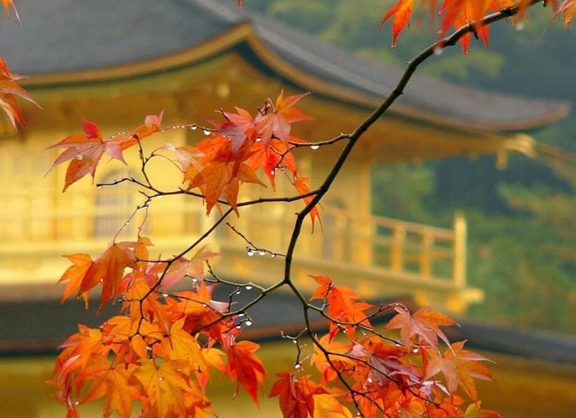 야외뷰 사진