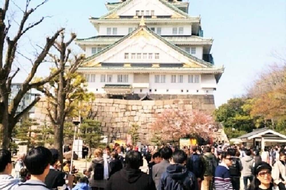 기타