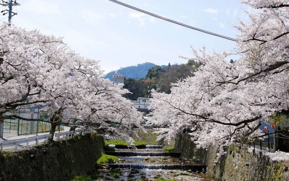 야외뷰 사진