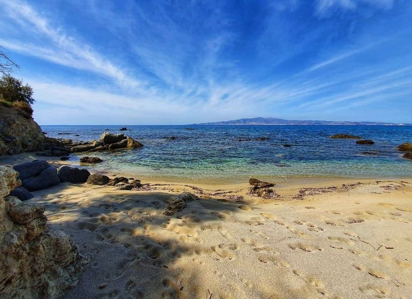 해변 사진