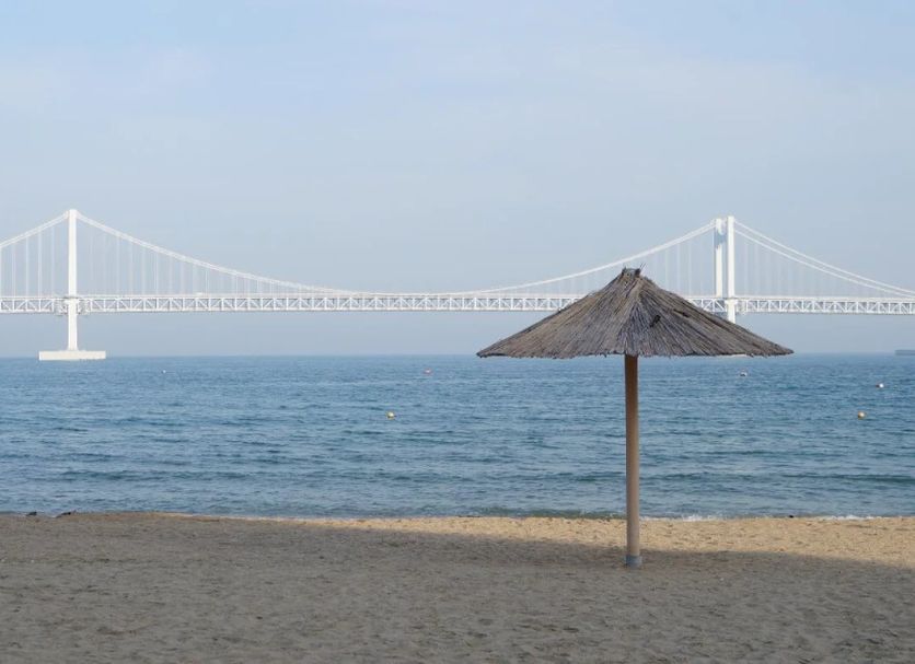기타 사진