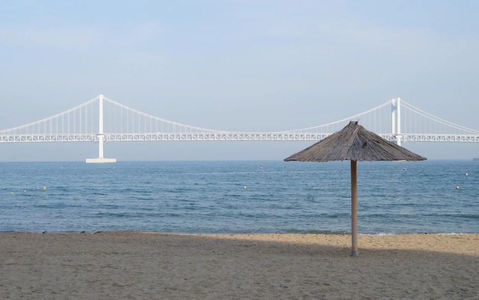 기타 사진