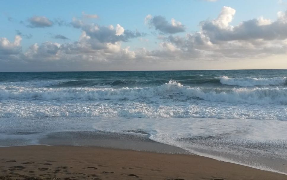 해변 사진