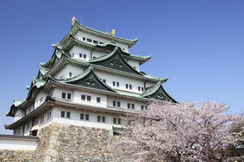 관광 명소