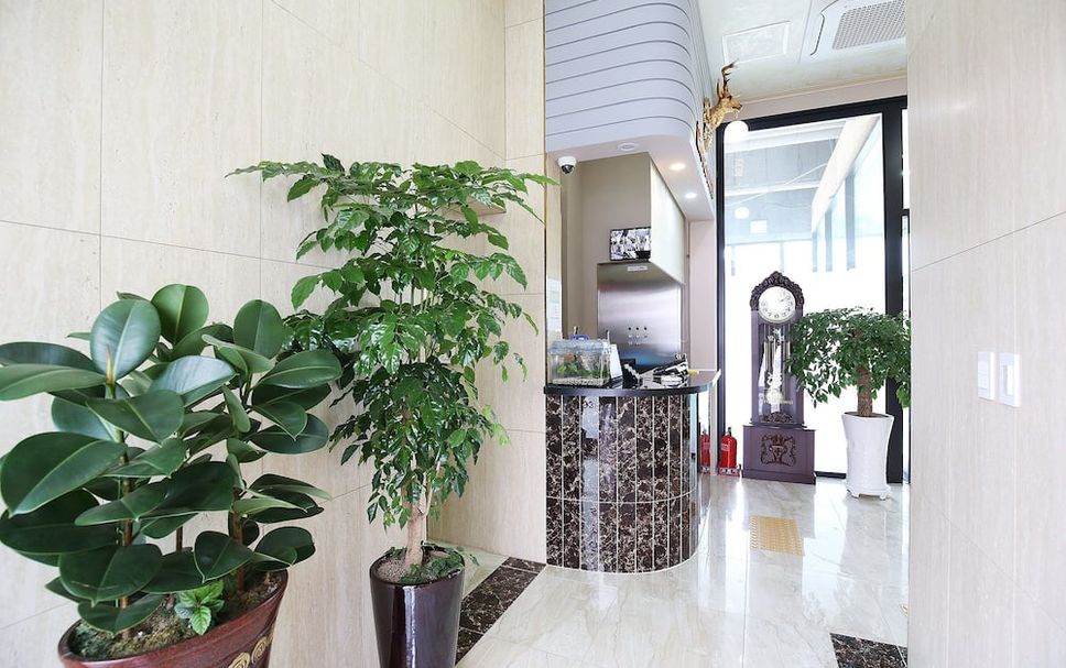 로비 사진