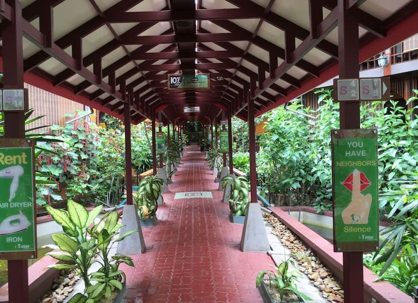 기타 사진