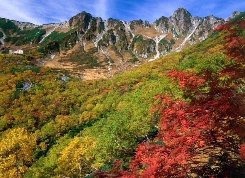 야외뷰 사진
