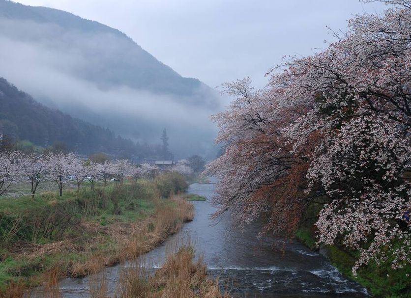 야외뷰 사진