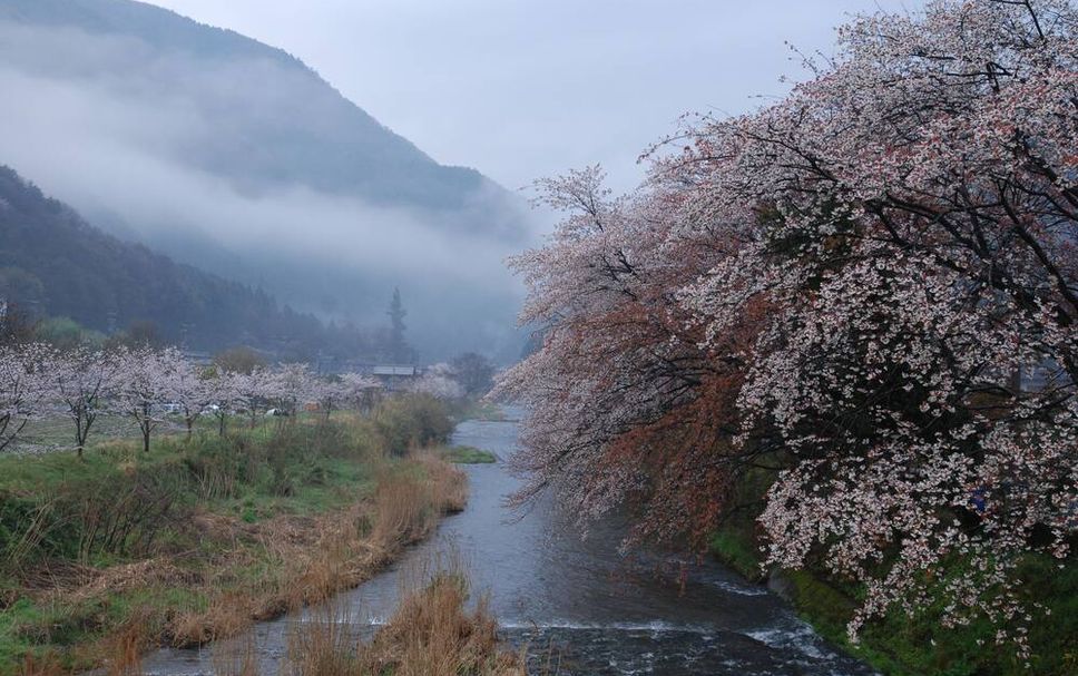 야외뷰 사진