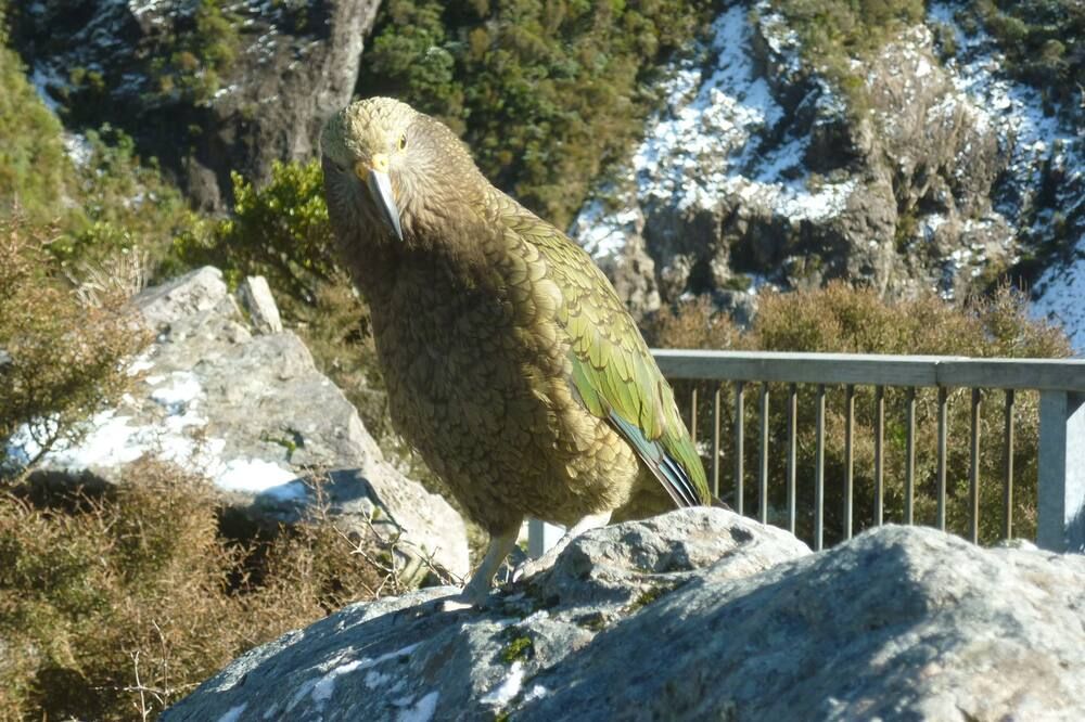 기타