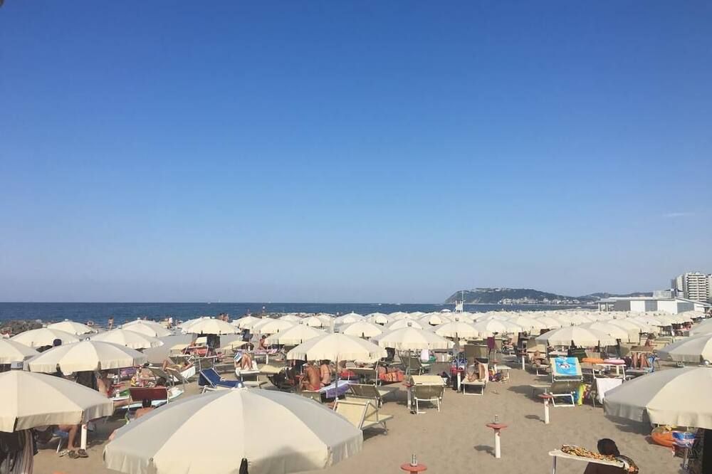해변