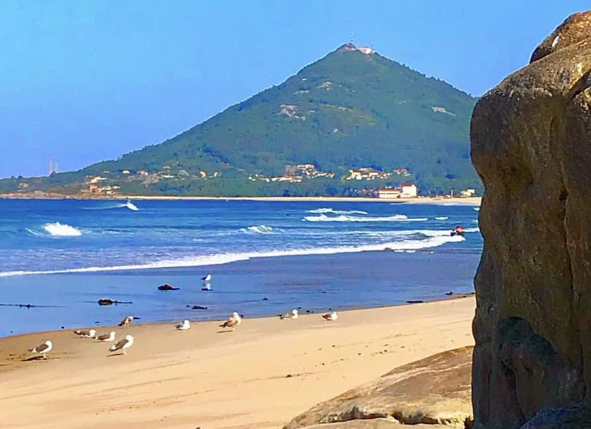 해변 사진
