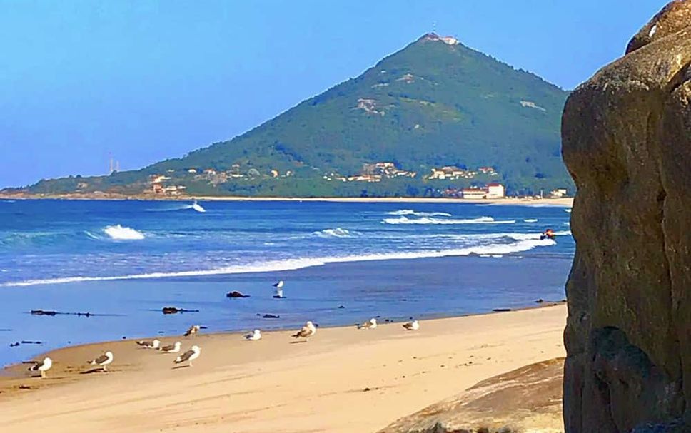 해변 사진