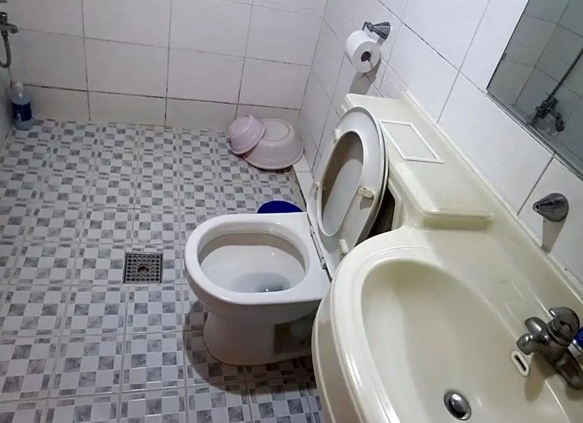 기타 사진