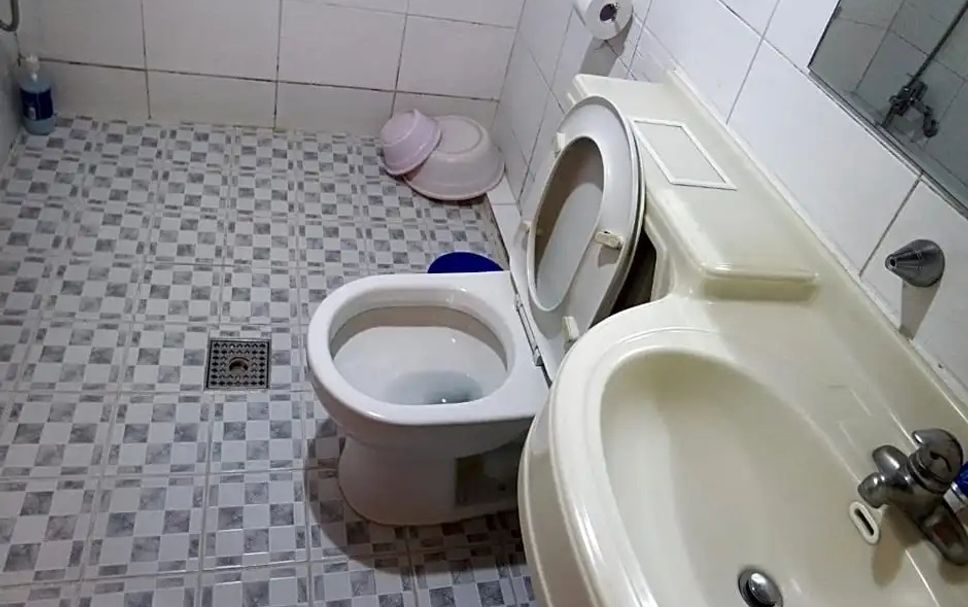 기타 사진