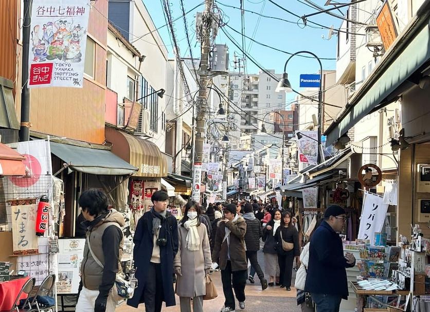 기타 사진