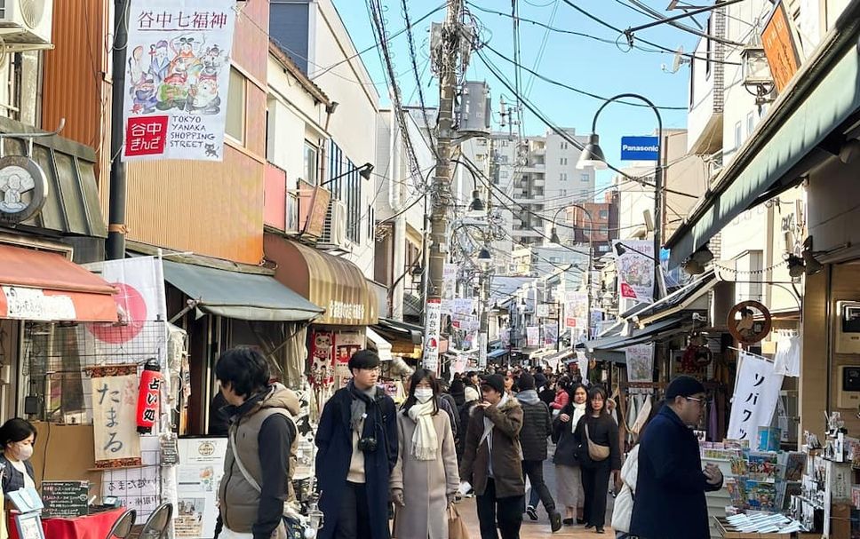 기타 사진