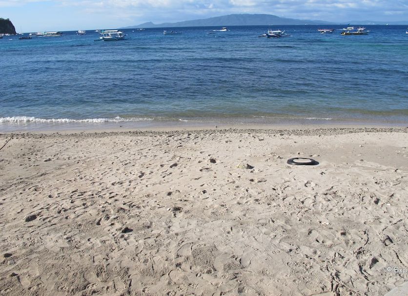 해변 사진