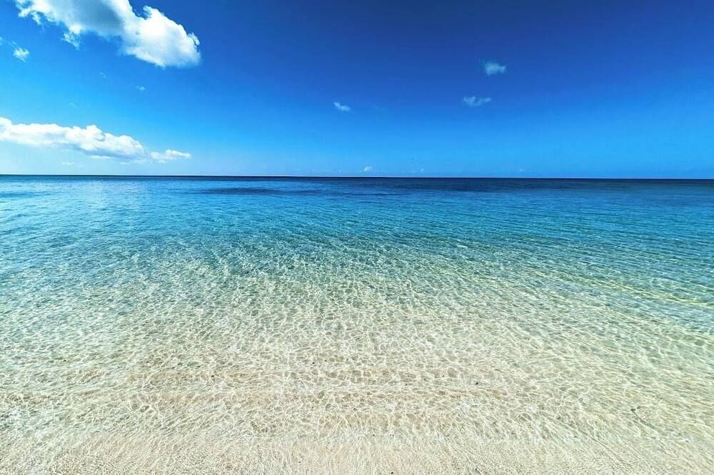 해변