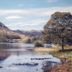 기타
