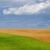 야외뷰