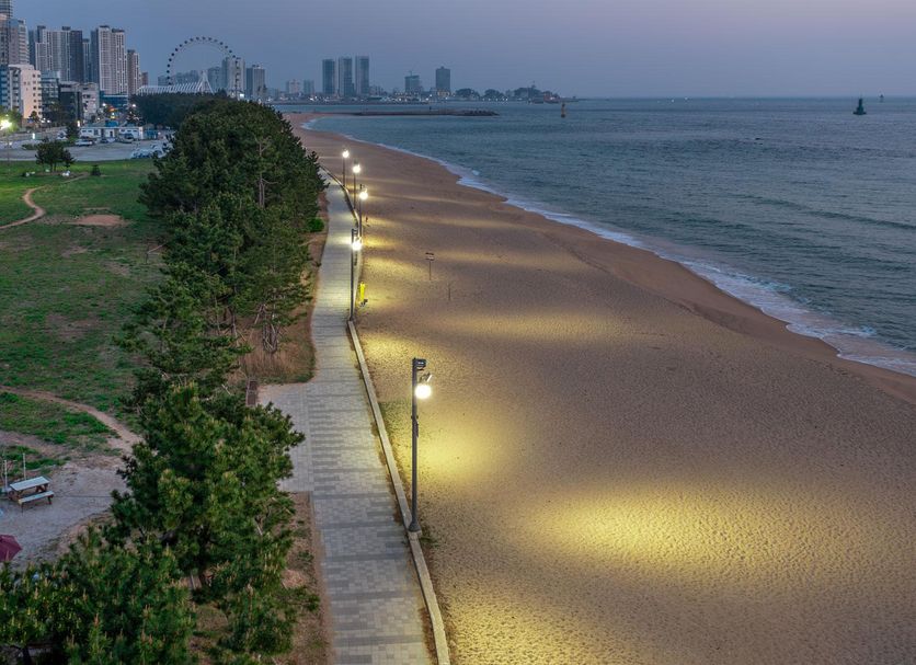 해변 사진