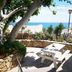 파티오
