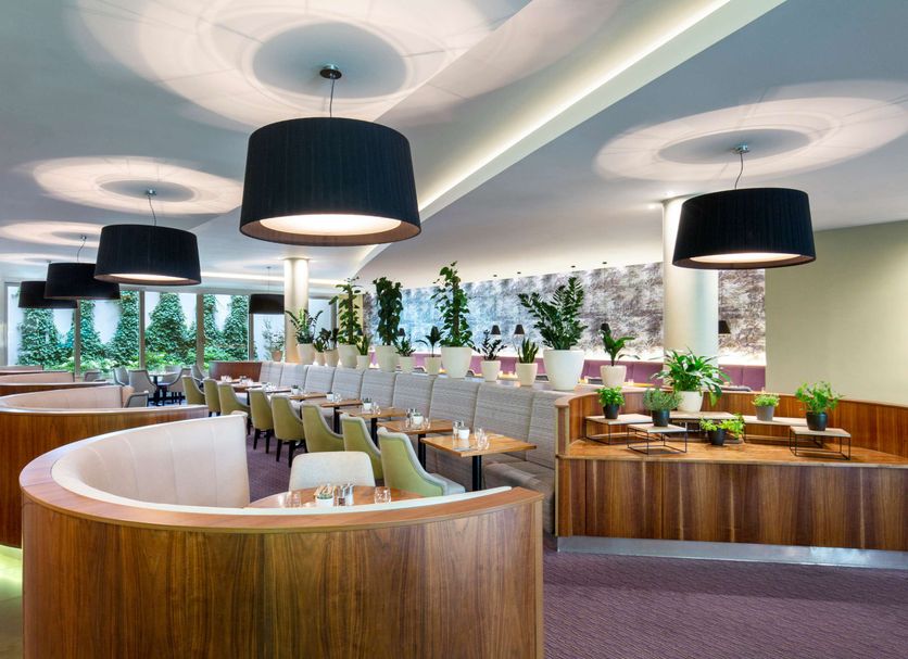레스토랑 사진