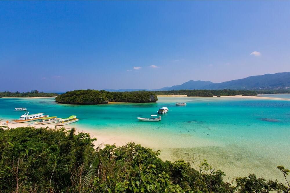 해변 사진