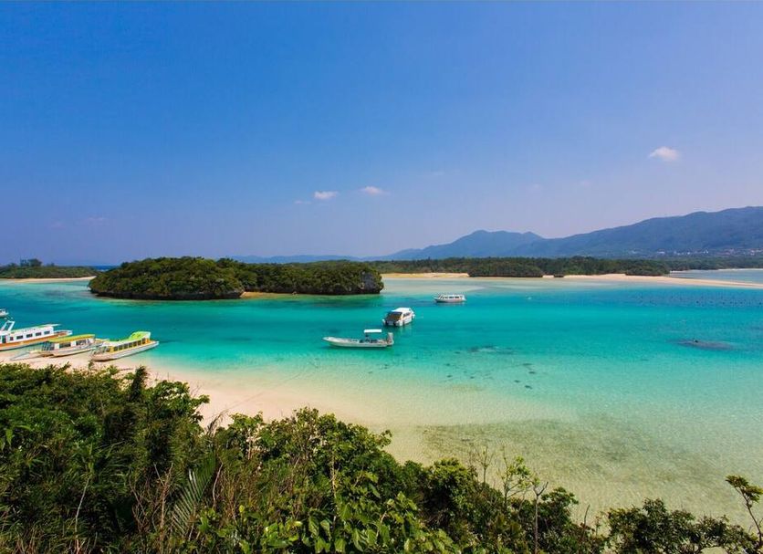 해변 사진