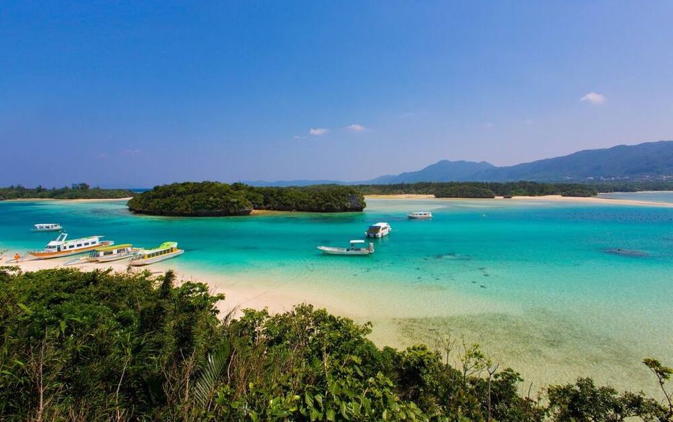 해변 사진