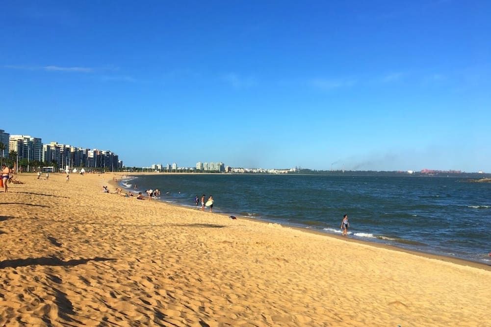해변 사진