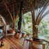 기타