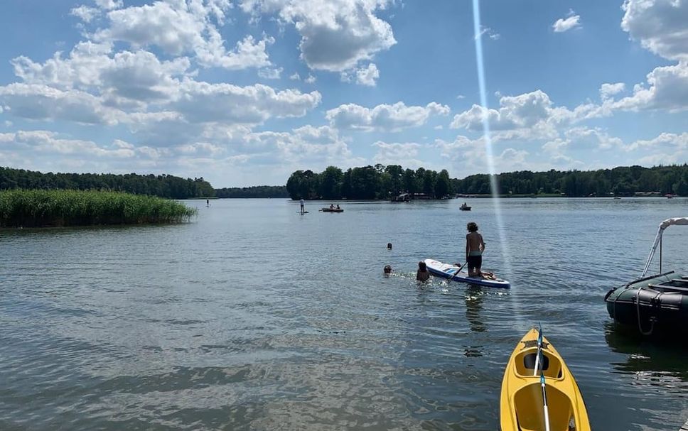 기타 사진