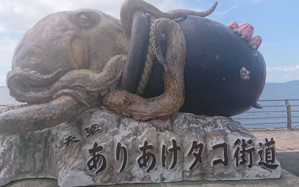 기타 사진