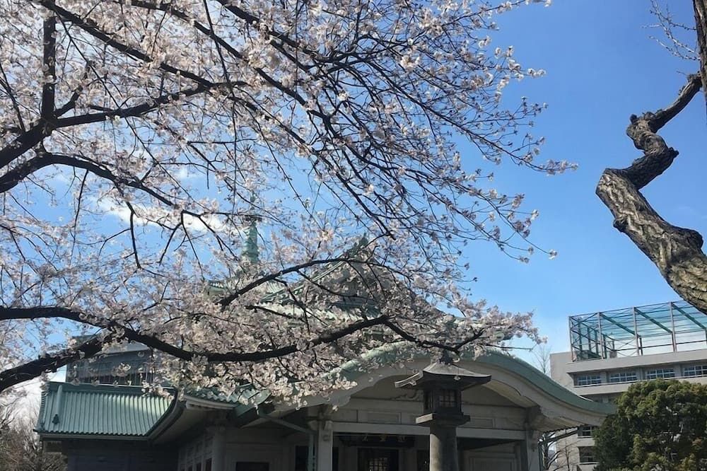 야외뷰