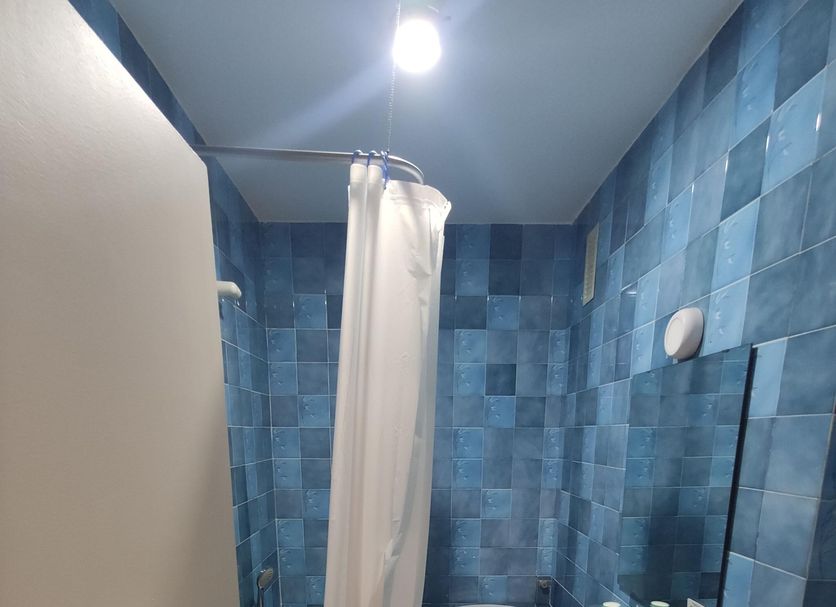 기타 사진
