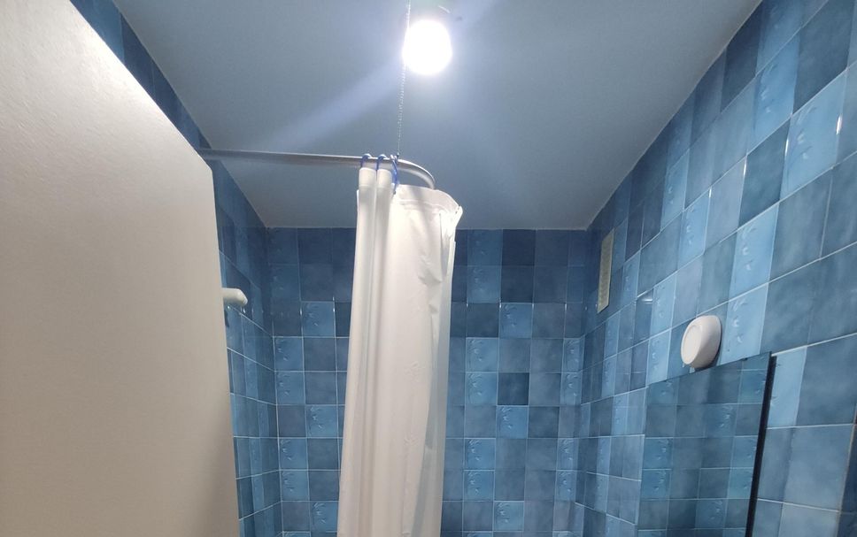 기타 사진
