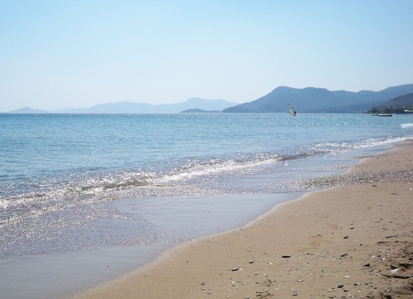 해변 사진