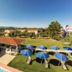 기타
