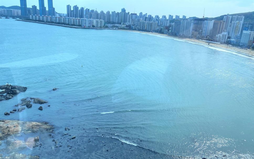 기타 사진