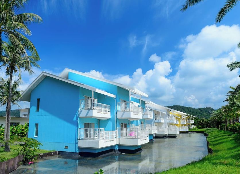 기타 사진