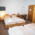 기타