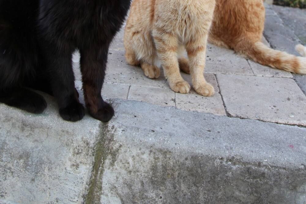 기타