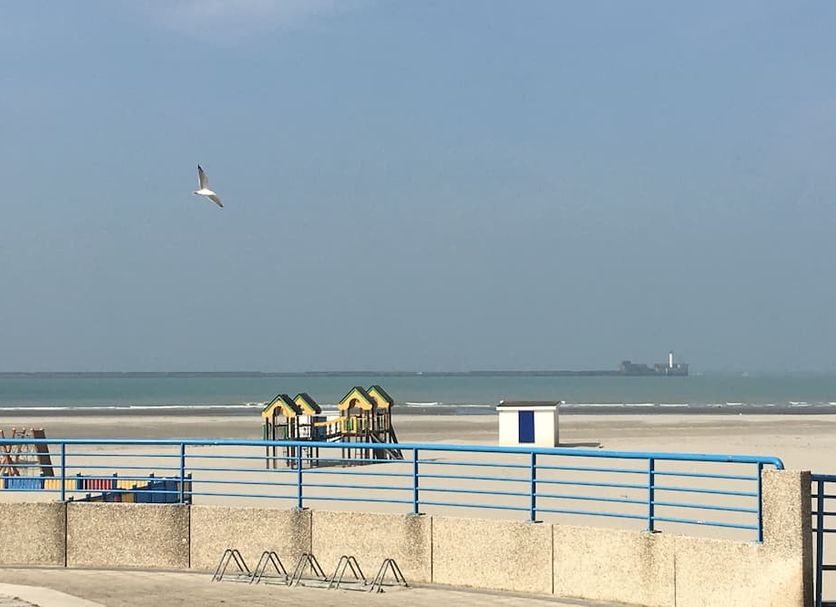 해변 사진