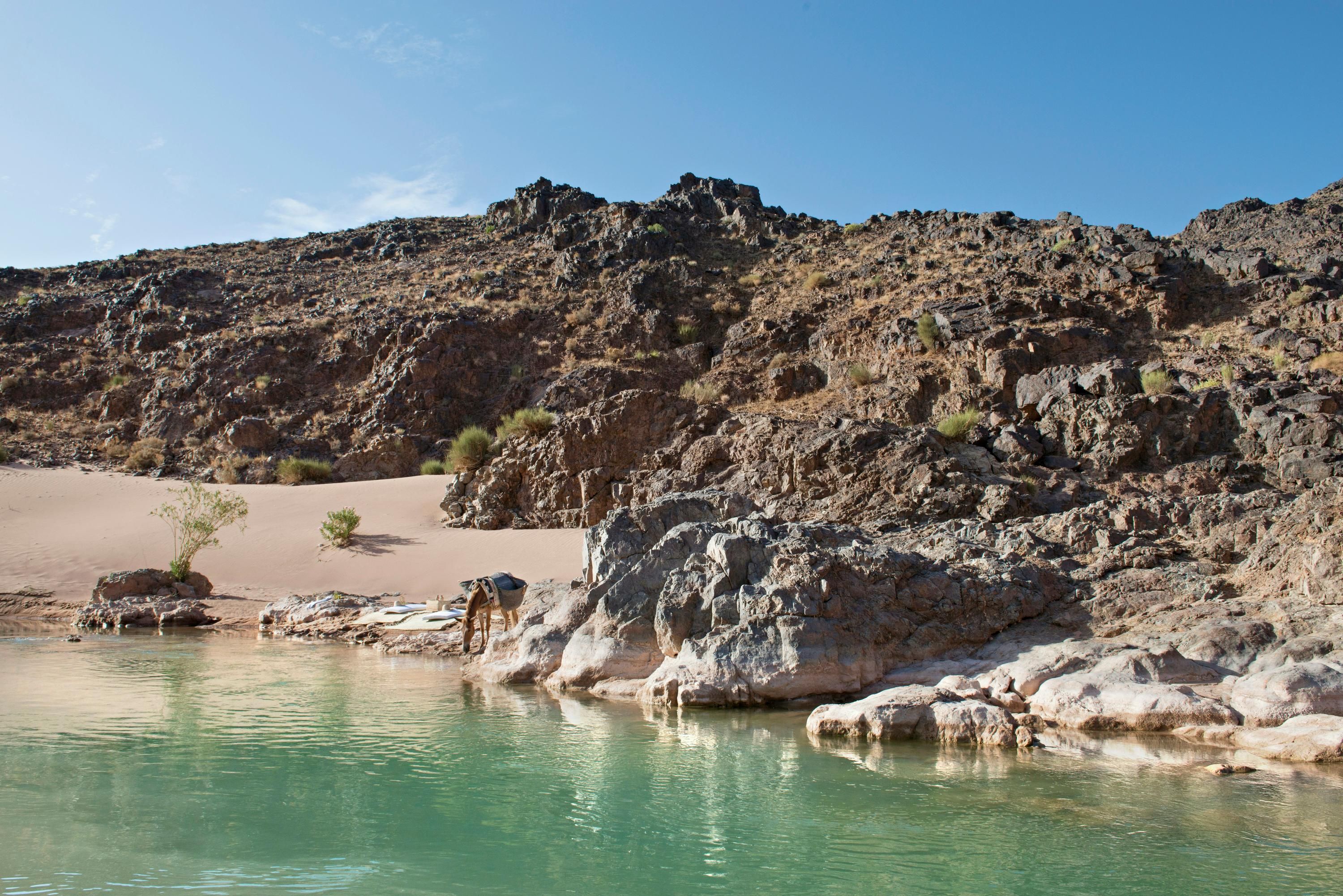 기타