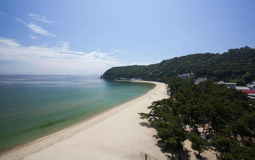 해변 사진