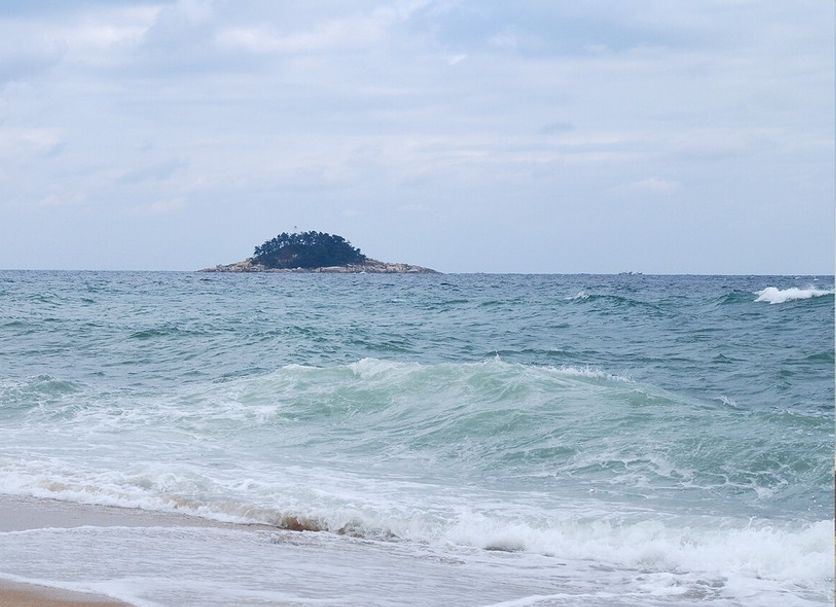 해변 사진